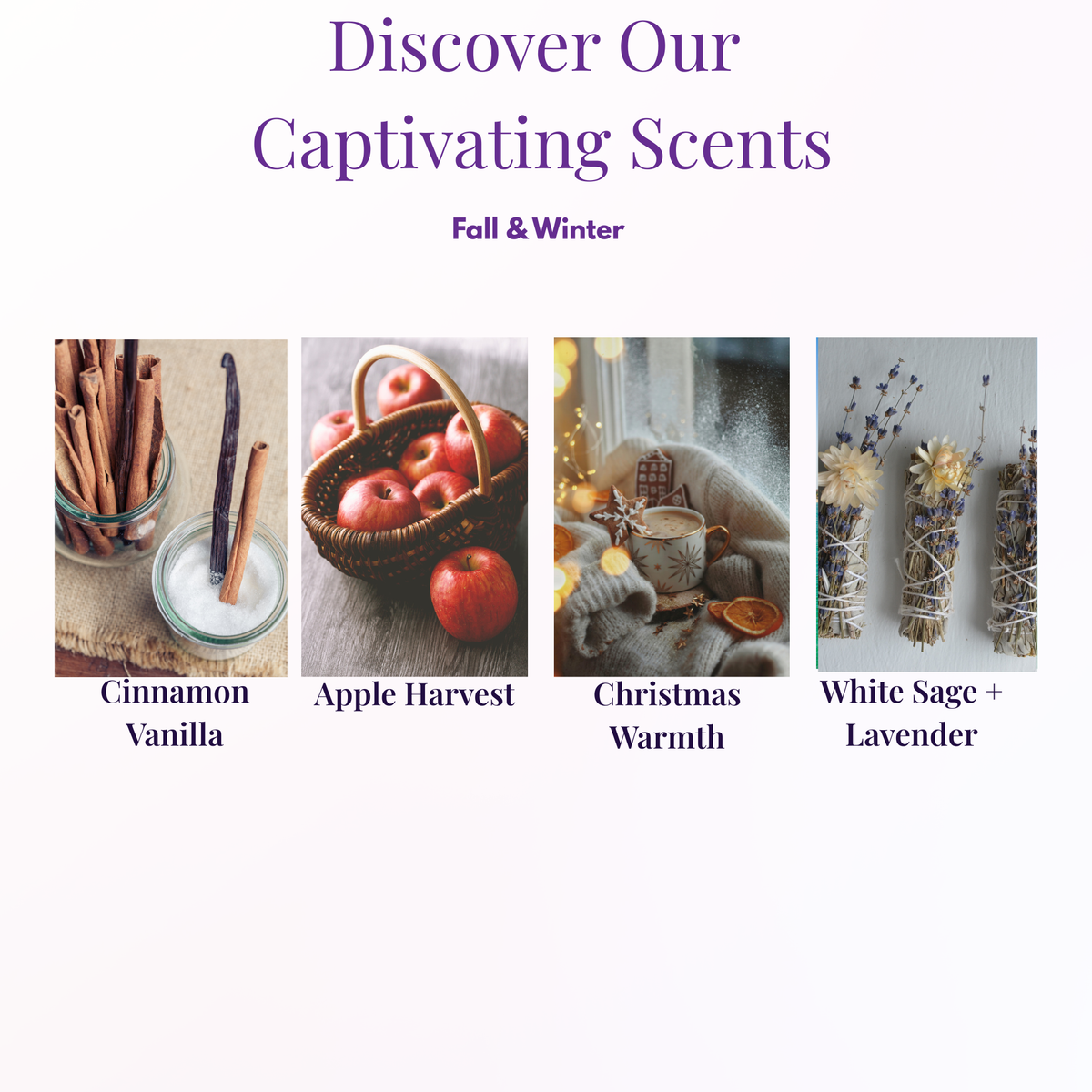Promotional graphic for fall and winter scents, featuring four scent panels labeled Cinnamon Vanilla, Apple Harvest, Christmas Warmth, and White Sage + Lavender under the heading 'Discover Our Captivating Scents'.