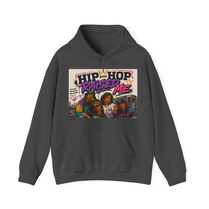A dark gray pullover hoodie with a colorful graphic print on the chest featuring the text 'HIP HOP RAISED ME' and an illustration of four people, shown against a plain white background.
